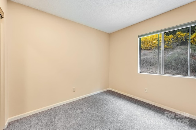 202 Cheyenne Ct, Asheville, NC 28803 - photo 10