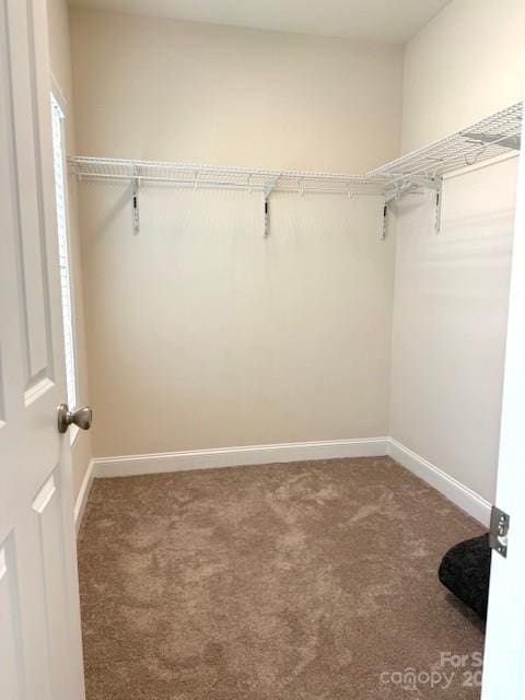 216 Harrison Ln Unit 4, Locust, NC 28097 - walk in closet with carpet