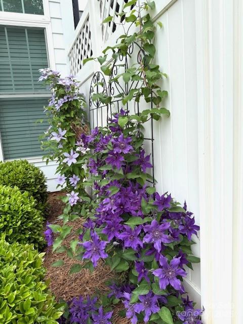 216 Harrison Ln Unit 4, Locust, NC 28097 - view of details