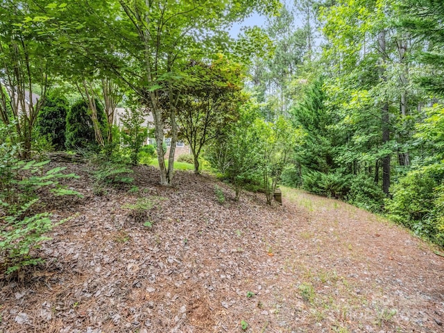 940 Hugh Champion Rd, Tryon, NC 28782 - view of nature