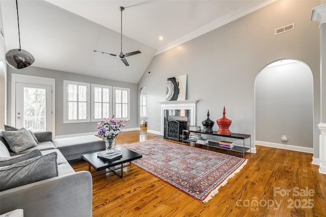 1126 Blowing Rock Cv, Fort Mill, SC 29708 - living room with baseboards, arched walkways, ceiling fan, a high end fireplace, and high vaulted ceiling
