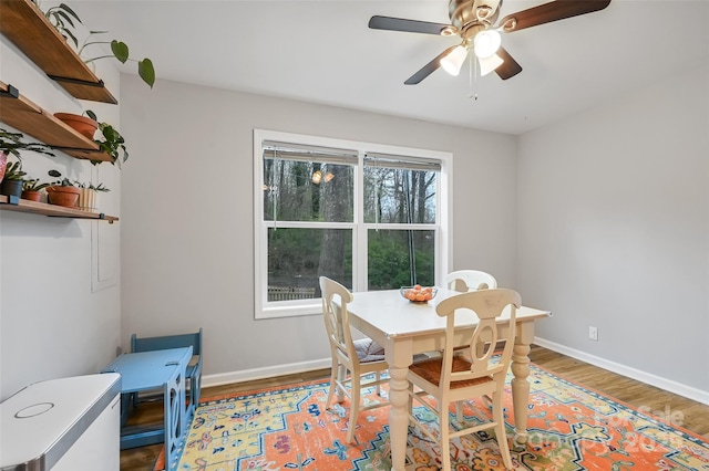 212 Short Michigan Ave, Asheville, NC 28806 - dining space featuring wood finished floors, baseboards, and a ceiling fan