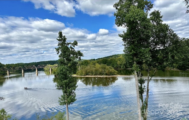 5888 Wood Duck Way, Catawba, NC 28609 - water view featuring a heavily wooded area