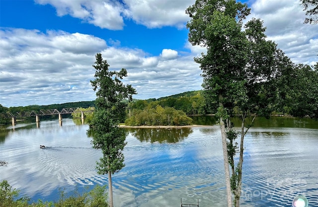 5888 Wood Duck Way, Catawba, NC 28609 - water view with a heavily wooded area