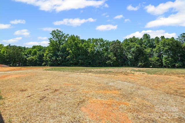 1504 Baileys Run, Gastonia, NC 28056 - photo 31