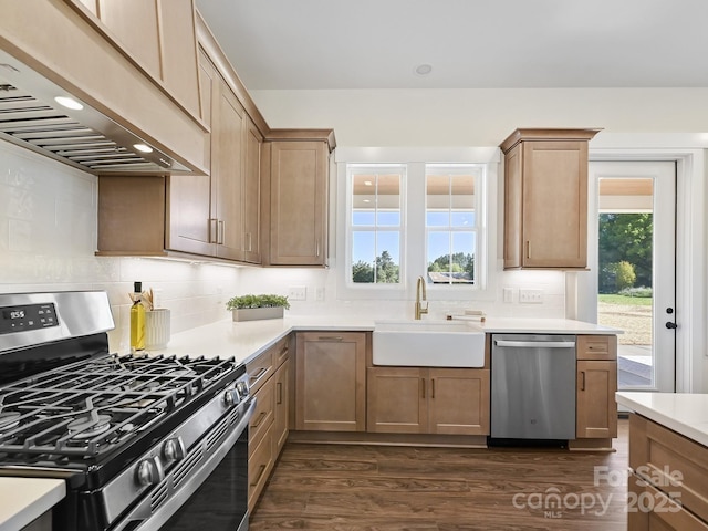 kitchen featuring a sink, tasteful backsplash, custom exhaust hood, dark wood-type flooring, and appliances with stainless steel finishes