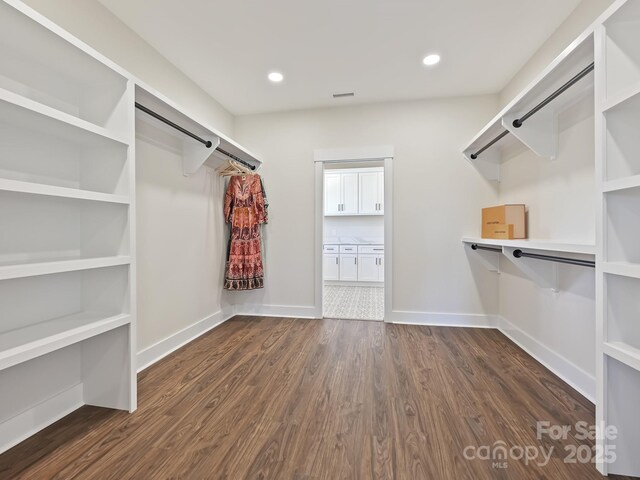 spacious closet featuring dark wood-style floors