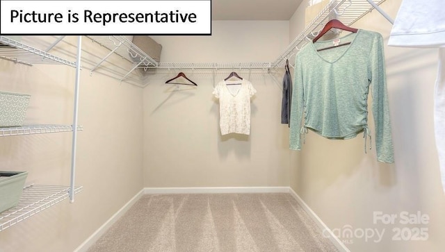 spacious closet with carpet floors