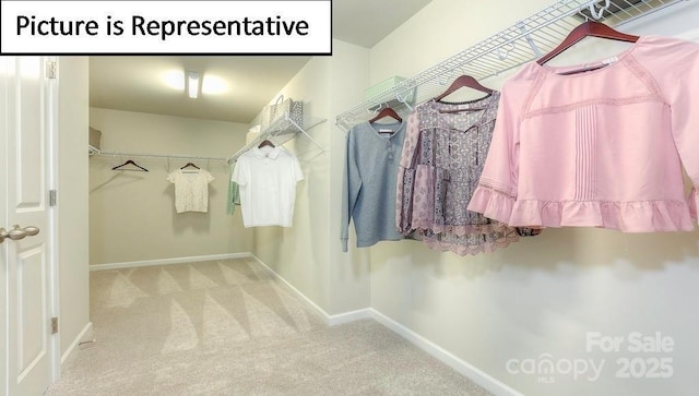 spacious closet featuring carpet
