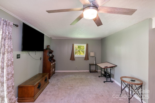 1218 Donna Dr, Shelby, NC 28152 - interior space featuring baseboards, a ceiling fan, carpet flooring, and a textured ceiling
