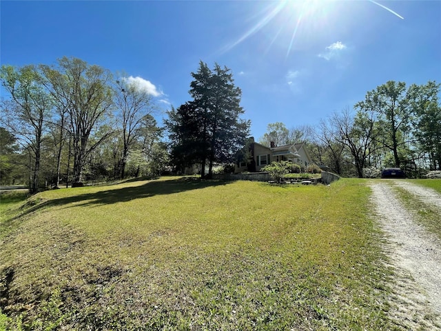 view of yard with dirt driveway