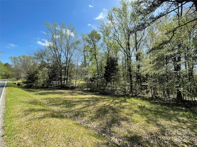 215 Old Dixie Rd, Lancaster, SC 29720 - view of green lawn