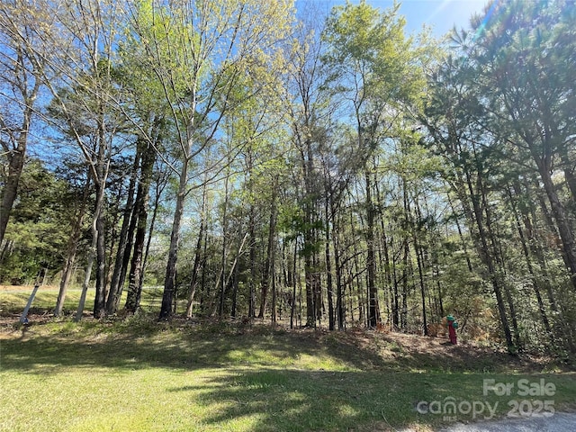 215 Old Dixie Rd, Lancaster, SC 29720 - view of grassy yard