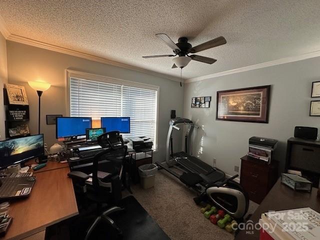 1273 Wateree Estates Rd, Winnsboro, SC 29180 - carpeted home office with a textured ceiling, ornamental molding, and ceiling fan
