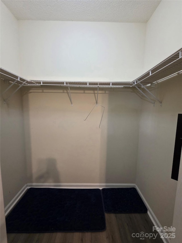 walk in closet with wood finished floors