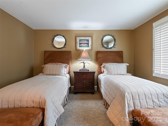 11 Bourne Ln, Asheville, NC 28803 - bedroom with ornamental molding and carpet flooring