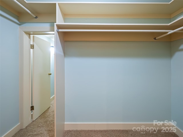 11 Bourne Ln, Asheville, NC 28803 - walk in closet with carpet