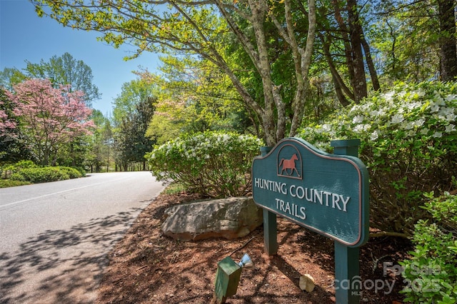 8 Hunting Country Trl, Tryon, NC 28782 - exterior space