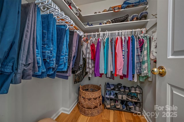 8 Hunting Country Trl, Tryon, NC 28782 - walk in closet with wood finished floors