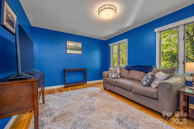8 Hunting Country Trl, Tryon, NC 28782 - living area featuring baseboards and wood finished floors