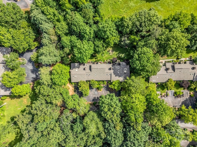 8 Hunting Country Trl, Tryon, NC 28782 - photo 35