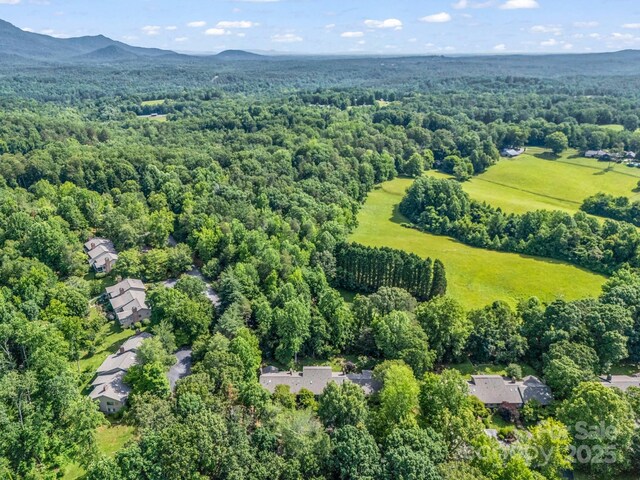 8 Hunting Country Trl, Tryon, NC 28782 - photo 36