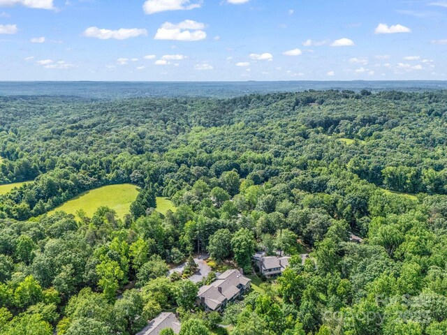 8 Hunting Country Trl, Tryon, NC 28782 - photo 37