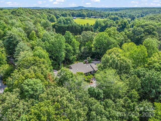 8 Hunting Country Trl, Tryon, NC 28782 - photo 38