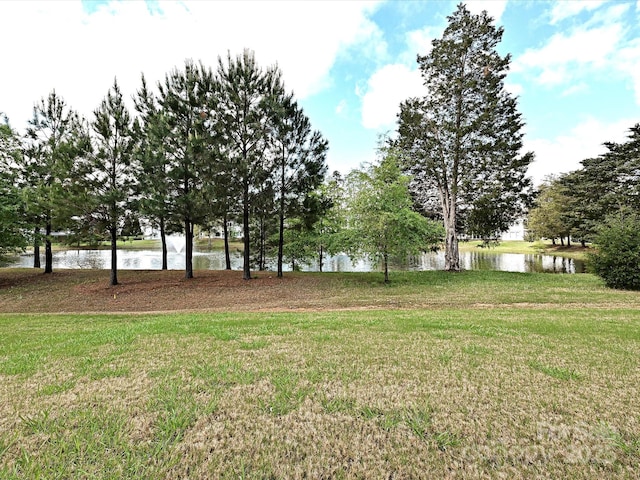 view of yard with a water view