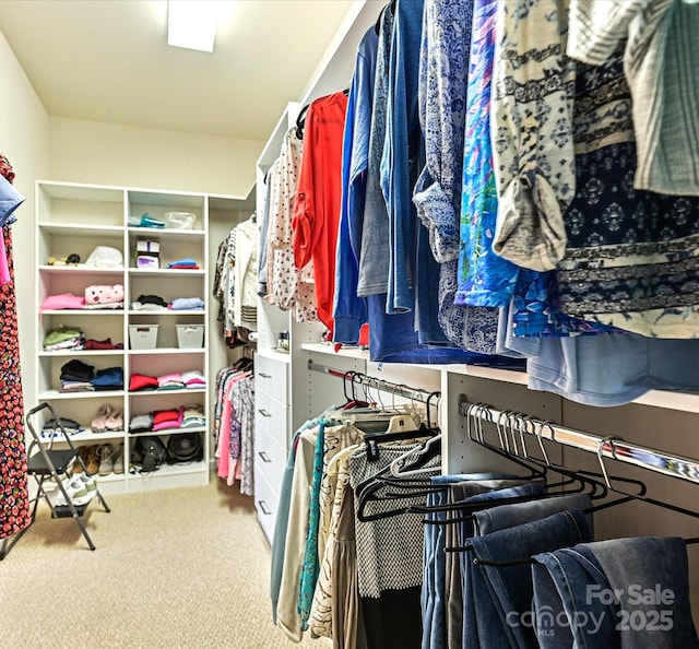 spacious closet with carpet