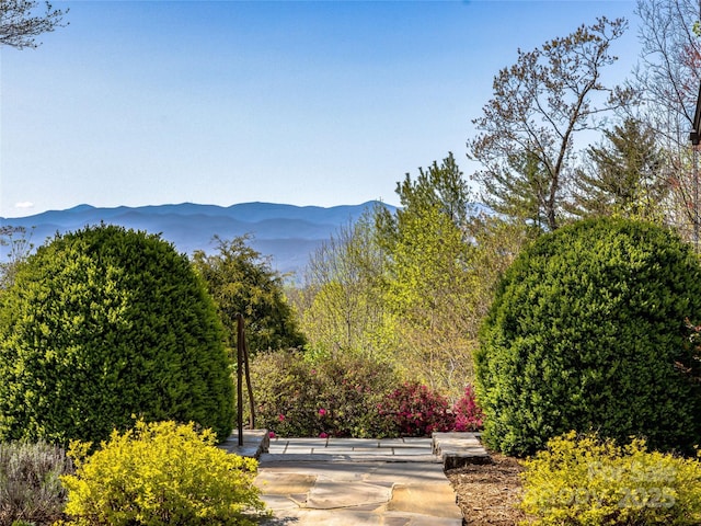 5019 Willow Rd, Hendersonville, NC 28739 - photo 3