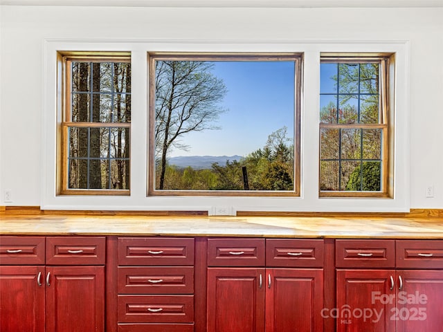 5019 Willow Rd, Hendersonville, NC 28739 - photo 38