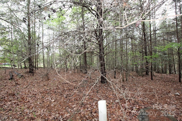 LOT4 Ridge Way Lot 4, Marion, NC 28752 - photo 5