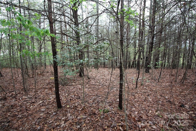 LOT4 Ridge Way Lot 4, Marion, NC 28752 - photo 7