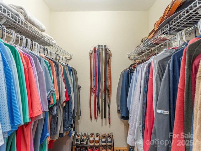 view of spacious closet