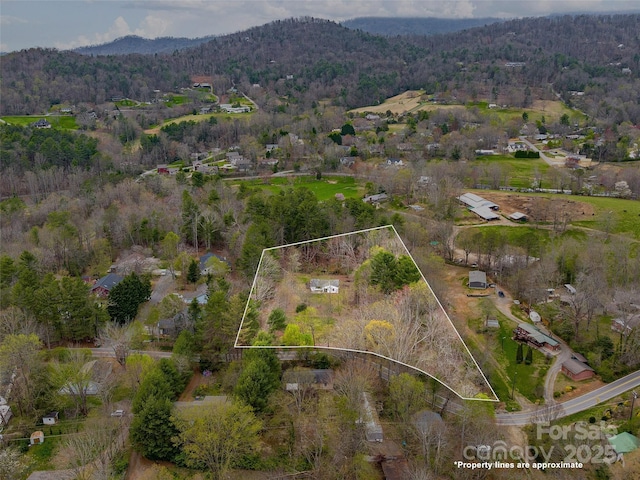 birds eye view of property featuring a forest view and a mountain view
