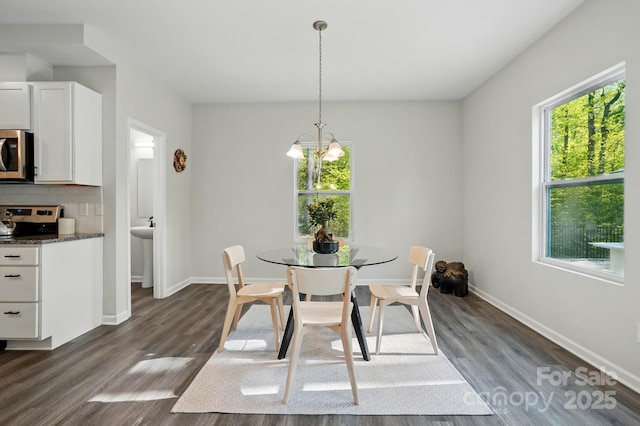 11040 E Lake Rd, Charlotte, NC 28215 - dining area featuring dark wood-style flooring, an inviting chandelier, and a healthy amount of sunlight