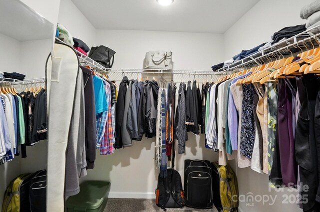 11040 E Lake Rd, Charlotte, NC 28215 - view of spacious closet