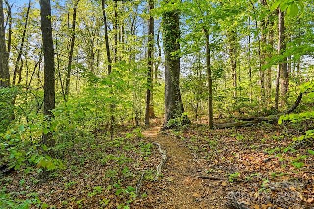 11040 E Lake Rd, Charlotte, NC 28215 - view of nature with a wooded view
