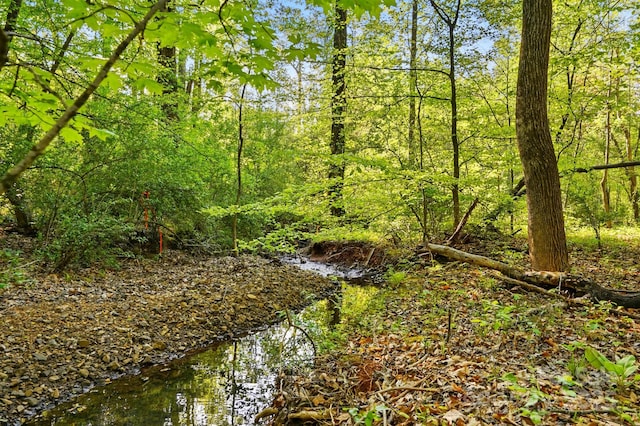 11040 E Lake Rd, Charlotte, NC 28215 - view of nature