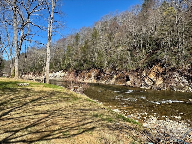 8061 State Highway 80 S, Burnsville, NC 28714 - surrounding community featuring a view of trees