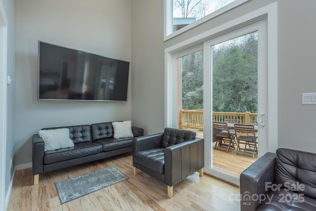 8061 State Highway 80 S, Burnsville, NC 28714 - living room featuring wood finished floors