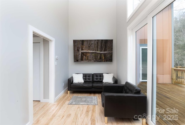 8061 State Highway 80 S, Burnsville, NC 28714 - living area featuring baseboards, a towering ceiling, and wood finished floors