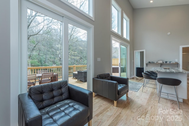 8061 State Highway 80 S, Burnsville, NC 28714 - living room with light wood finished floors, a high ceiling, and recessed lighting
