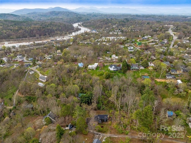 30 Summer St, Asheville, NC 28804 - photo 43