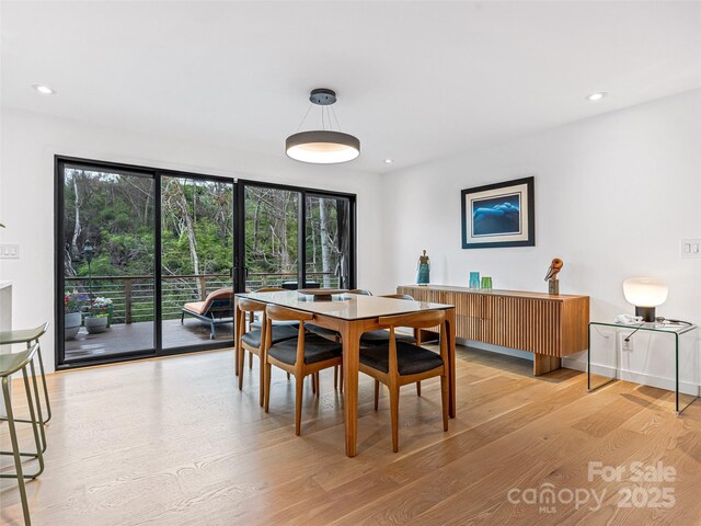 30 Summer St, Asheville, NC 28804 - photo 11