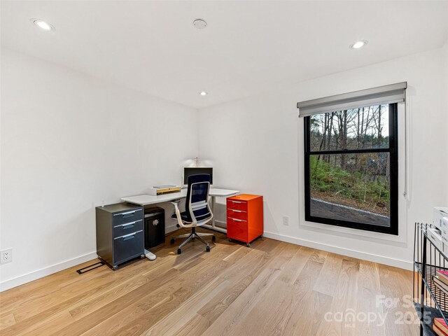 30 Summer St, Asheville, NC 28804 - photo 20