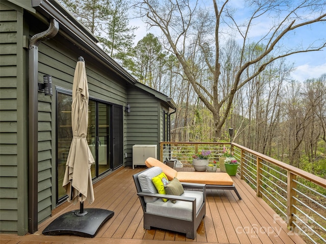 30 Summer St, Asheville, NC 28804 - photo 42