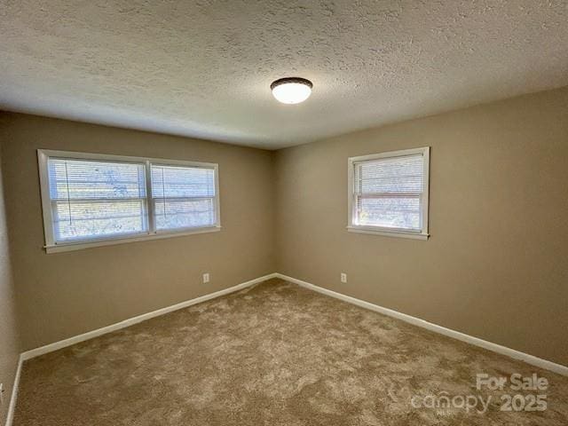 1026 Garden St SE, Lenoir, NC 28645 - unfurnished room with carpet floors, baseboards, and plenty of natural light