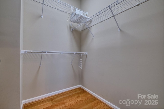 walk in closet featuring wood finished floors